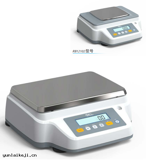 rb16001意大利BEL精密天平RB16001